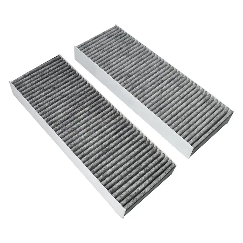 Laatste Versie Koolstoffilter BAKFS (anti-visgeur) geschikt voor Bora Basic / BHU / BIU / BFIU / GP4 (2st.)