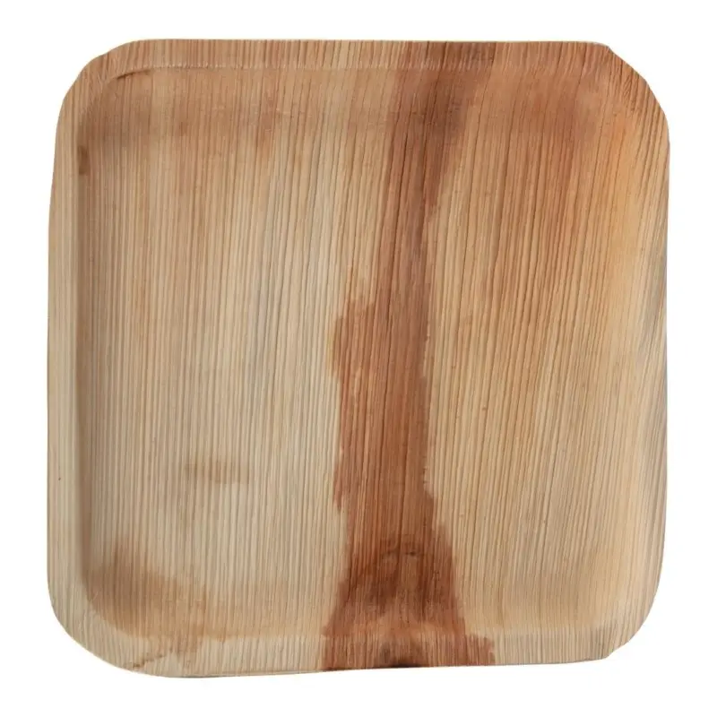 HorecaTraders biologisch palmbladborden |vierkant | 25x25cm | 100 stuks Superprijs