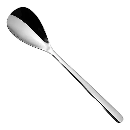 HorecaTraders Canada dessertlepel | 19 cm | RVS Bestseller