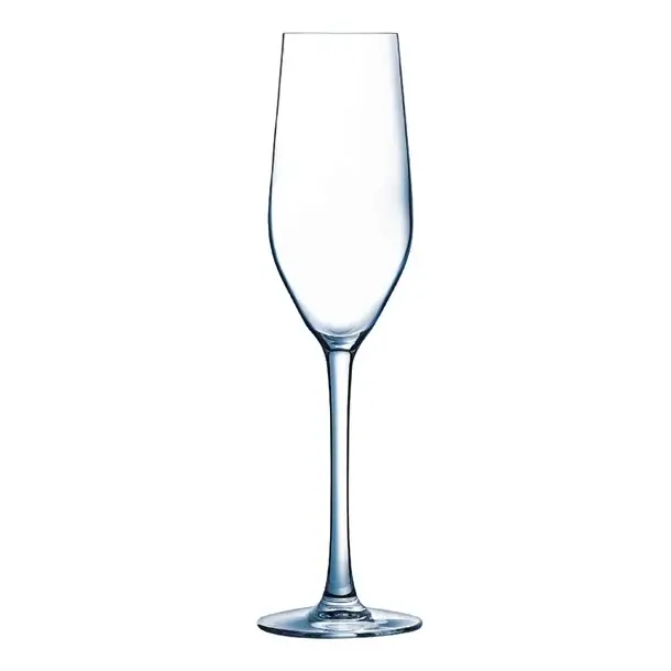 HorecaTraders Arcoroc Mineral Champagneglazen 160 ml – Set van 24 Helder en Duurzaam Bestel Nu