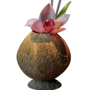 HorecaTraders Cocktail Beker | Kokosnoot |9x13cm Shop Nu