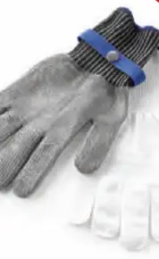 Hendi Oester handschoenen | 2 formaten Snelle Levering