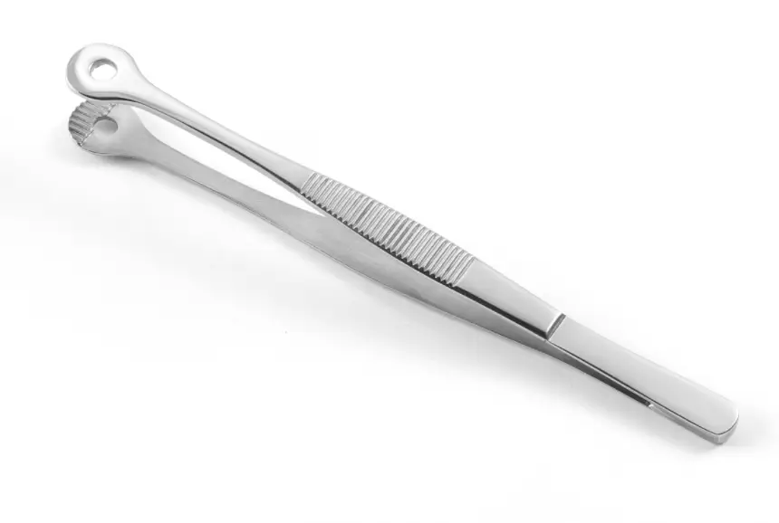 Hendi Pincet met ronde kop | RVS | 15 cm Laatste Versie