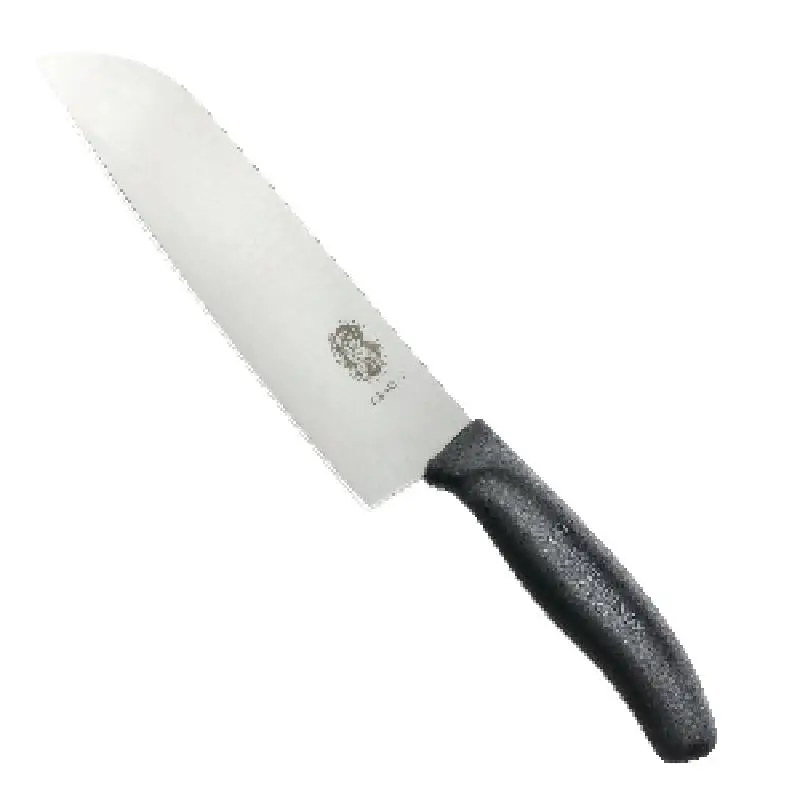 Hete Deal Victorinox Professioneel mes | 17 cm
