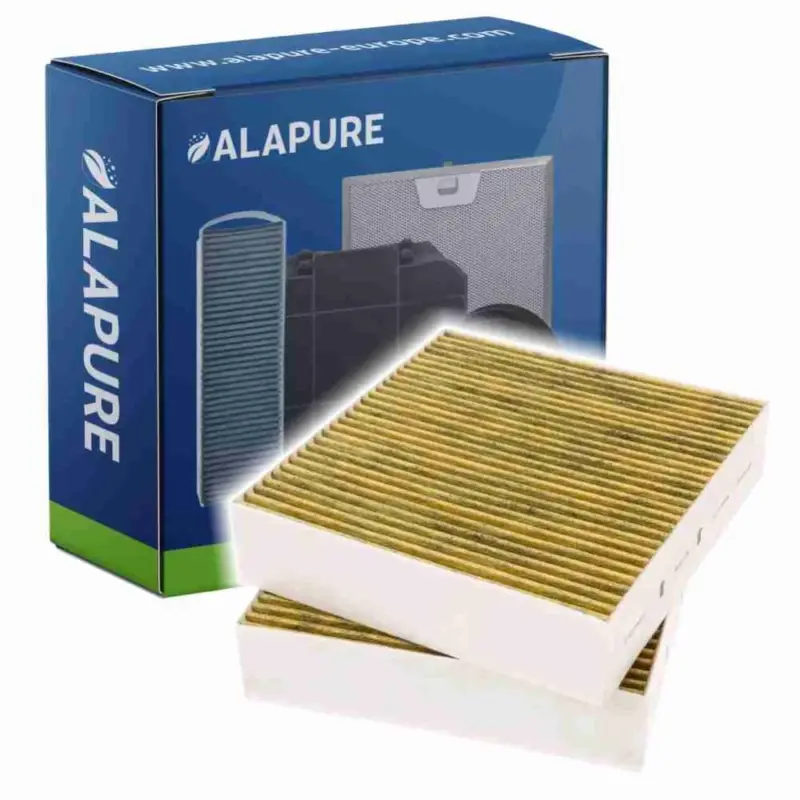 Alapure Koolstoffilter geschikt voor Gaggenau 11058753 / 11028106 / AA410110 (2St.) Fabrieksprijs