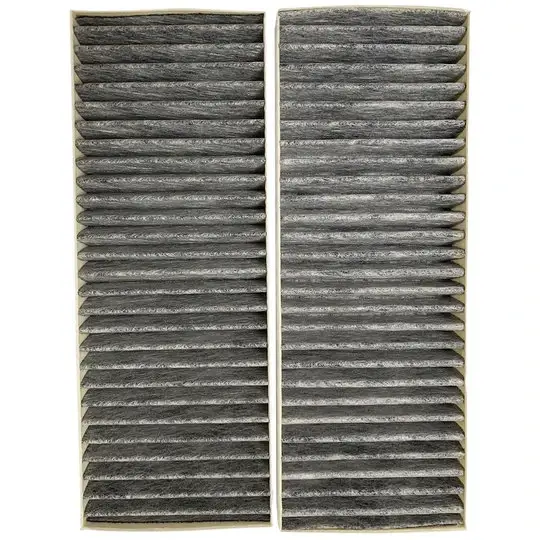 Blaupunkt Koolstoffilter AFCFCAASPC90 (2st.) Shop Nu