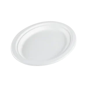 Direct Verzonden Bagasse Bord ovaal suikerriet 26cm | 50 stuks