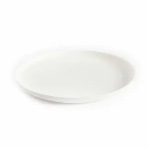 Sier Bagastro Bord Ø24cm | 40 stuks Merkproduct