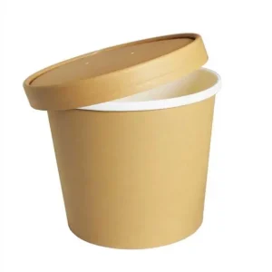 Belix Takeaway wegwerppotje 450ml | 25 stuks Snelle Levering