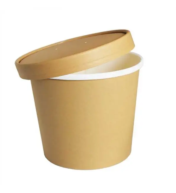 Belix Takeaway wegwerppotje 450ml | 25 stuks Snelle Levering