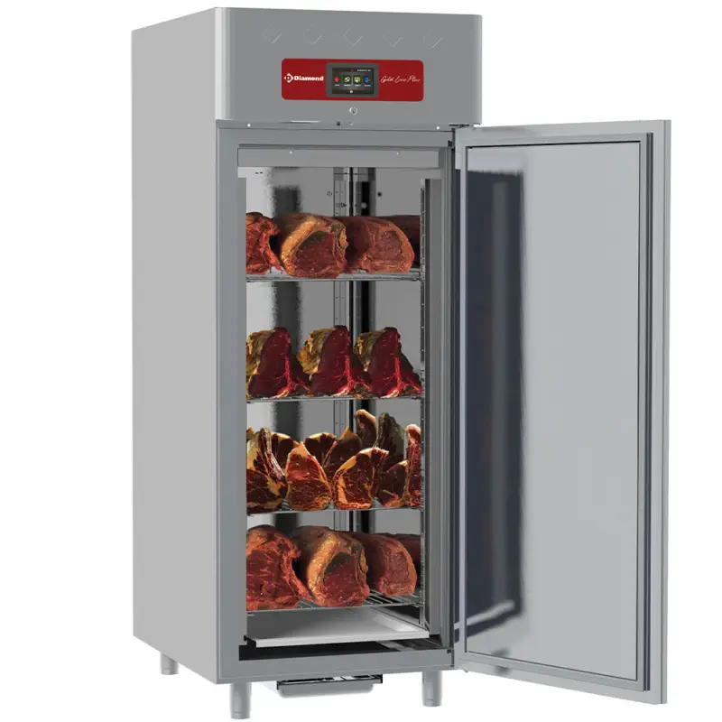 Diamond Horeca Rijpingskast | Vlees | 850L | 20x GN 2/1 | RVS | Geventileerd | 790x1095x2025mm Betrouwbaar