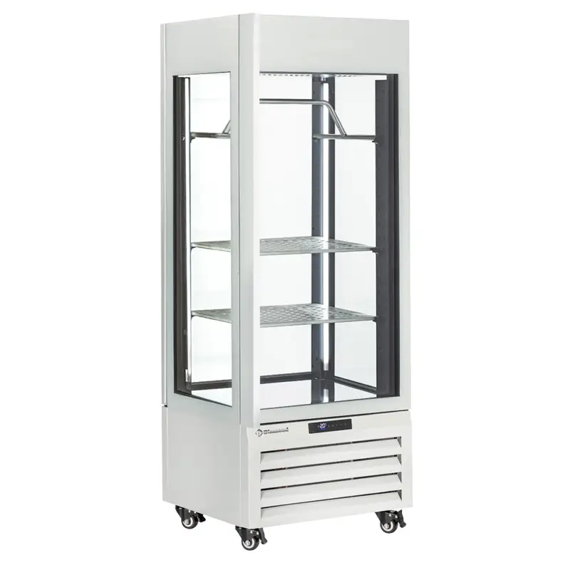 Diamond Vleesvitrine | EXALTA | Energiezuinig | 440L | Wit | -2°C/+10°C | Geforceerd | 4 Niveaus | Wielen | 700x650x1900mm Goedkoop