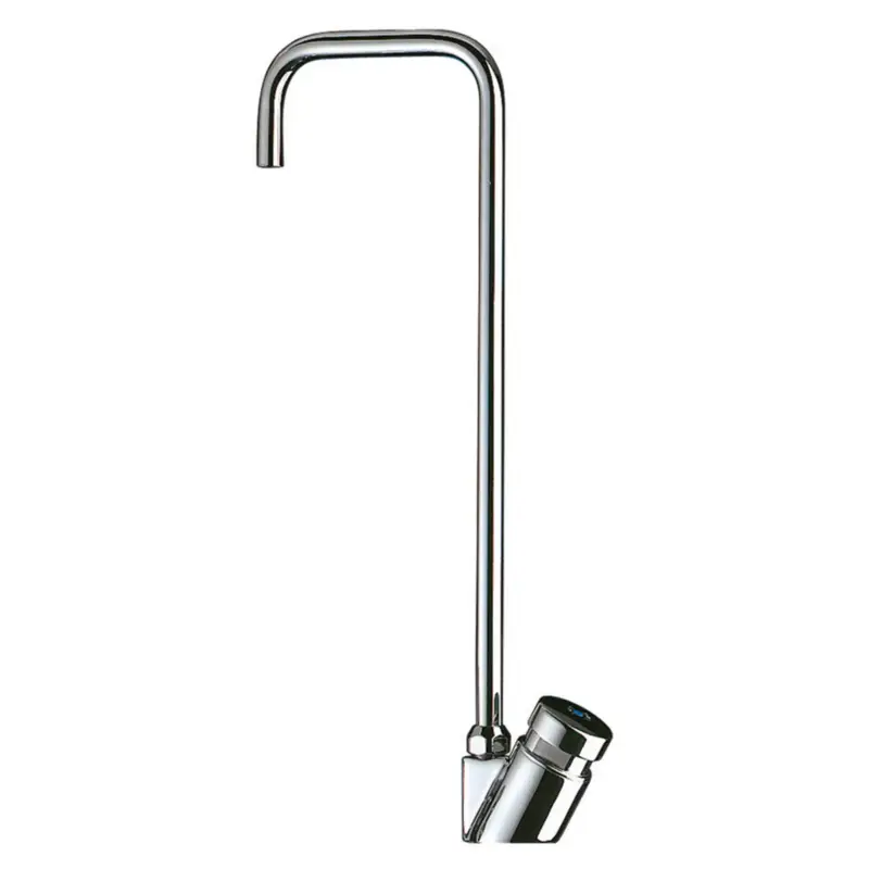 Veilige Betaling Delabie drink fontein kraan M3/8" tbv watertappunt direct sluitend Chroom