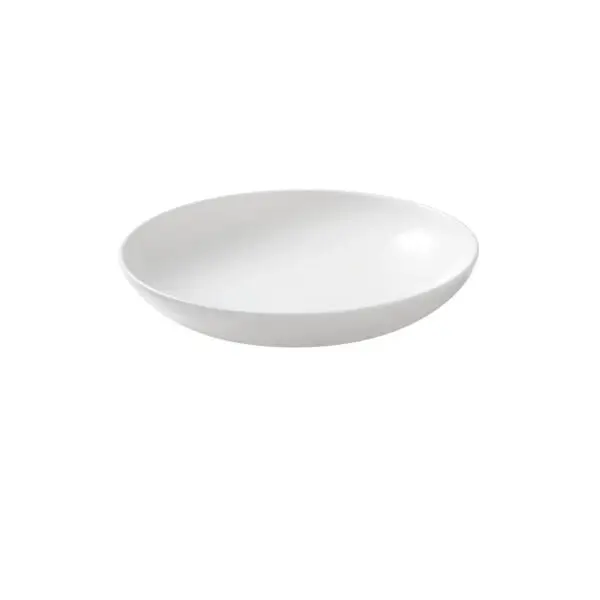 Rechtstreeks Van De Fabrikant Schaal blanc de blancs 23.5 cm 1 l wit