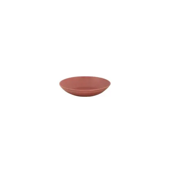 Koop Vandaag Bord diep spirit 21.5 cm rood