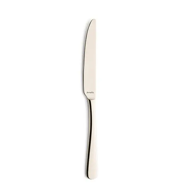 Tafelmes 1410 austin 23.6 cm 13/0 18/0 champagne Favoriet
