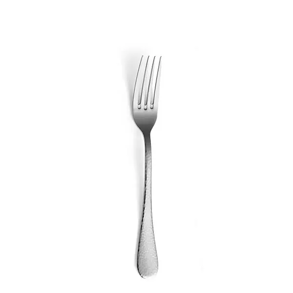 Dessertvork 8051 sierra 18.5 cm 18/10 Voordeelprijs